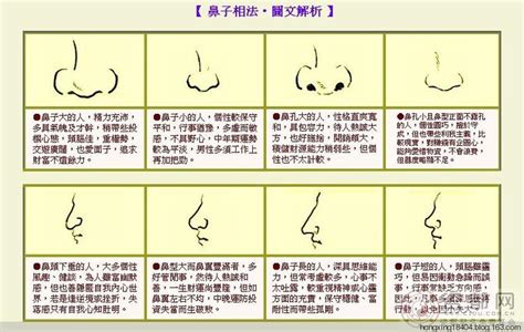 肉鼻子面相|面相學之鼻型解析、全面解讀鼻子與命運